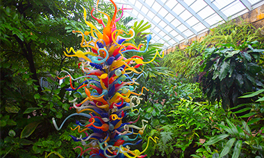 FAIRCHILD TROPICAL BOTANIC GARDEN Website