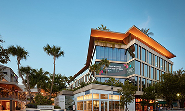 COCONUT GROVE Website