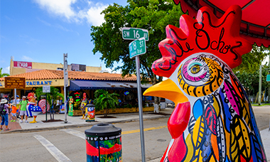 LITTLE HAVANA Website